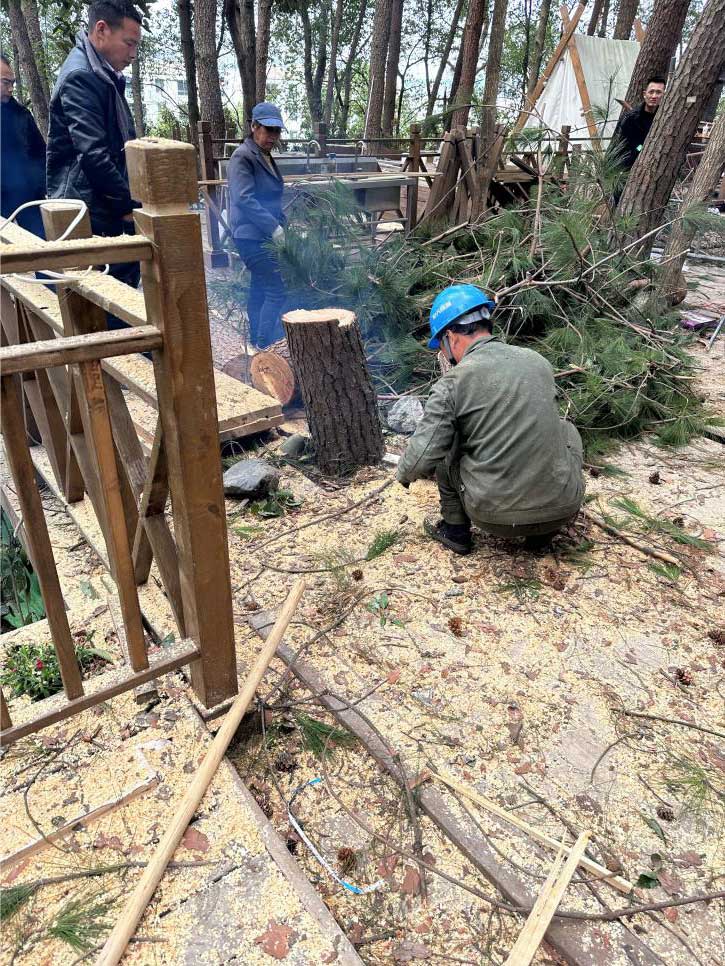 排除隱患，國資公司砍樹解民憂