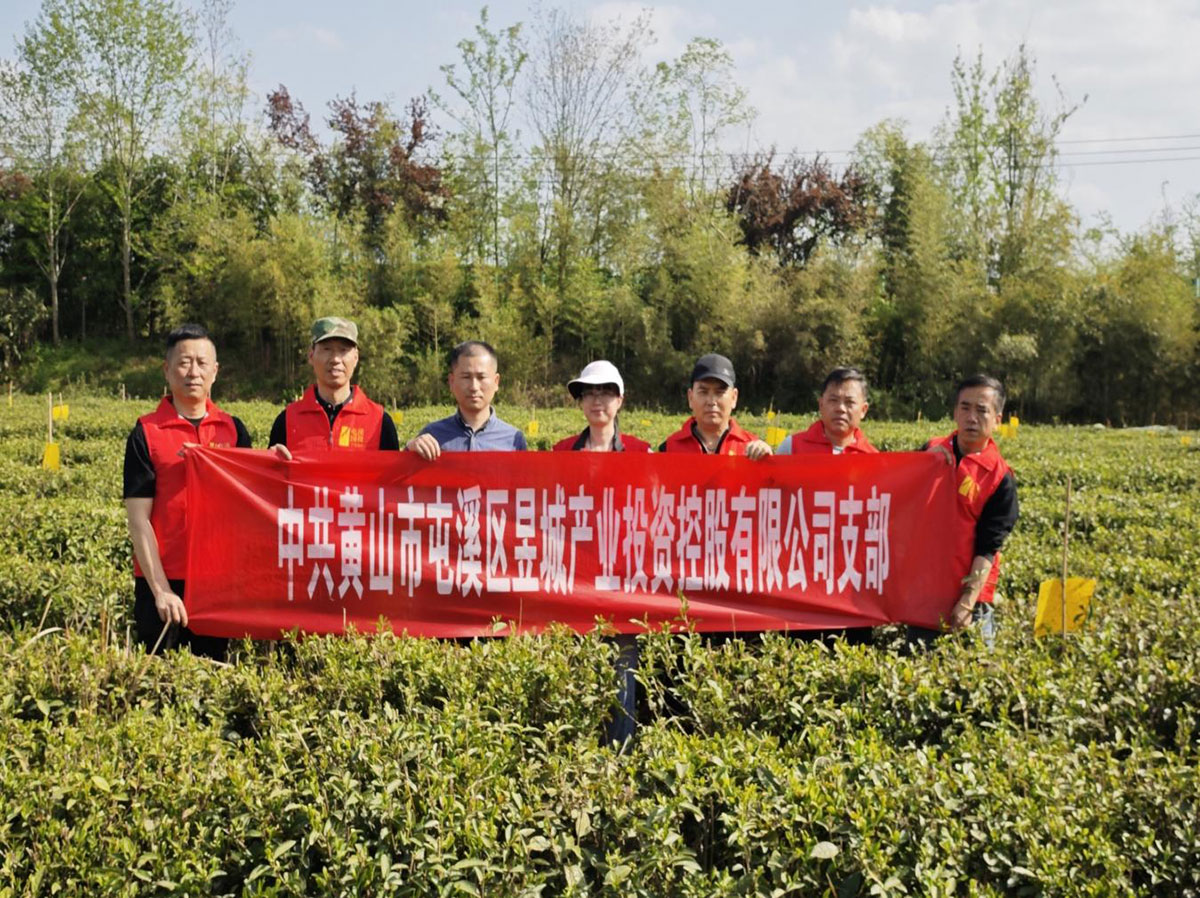 昱城產(chǎn)投公司黨支部開展“茶香潤初心，黨旗映茶園”主題黨日活動