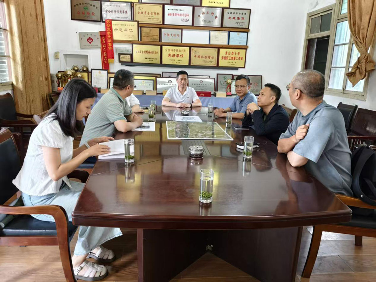 江蘇外聯(lián)采考察團(tuán)到實(shí)驗(yàn)茶場(chǎng)考察，共商茶產(chǎn)業(yè)合作新藍(lán)圖