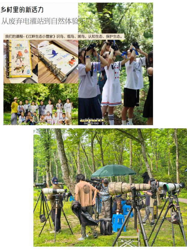 8000萬熱度炸屏！屯溪“護(hù)村小祖宗”聯(lián)動短劇頂級頭部平臺帶火綬帶鳥，短劇+文旅解鎖鄉(xiāng)村振興新密碼