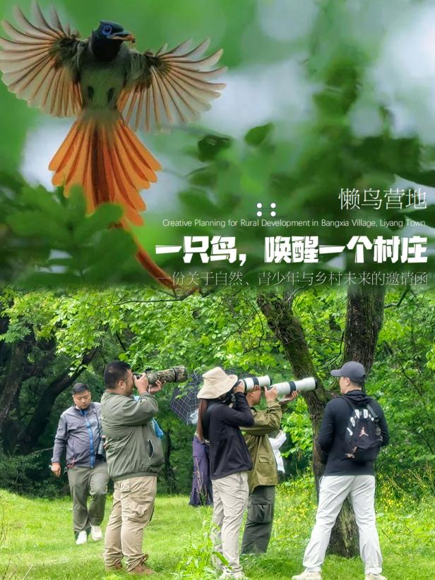 8000萬熱度炸屏！屯溪“護(hù)村小祖宗”聯(lián)動短劇頂級頭部平臺帶火綬帶鳥，短劇+文旅解鎖鄉(xiāng)村振興新密碼